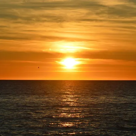 Giorgia - * コスタ・パラディーゾ